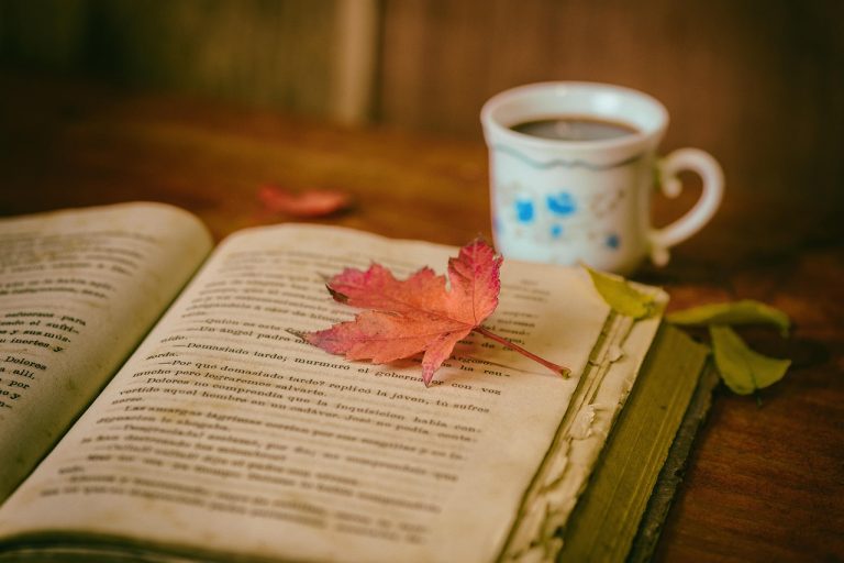 cine este george simion